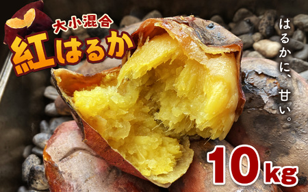 ܂ g͂邩  10kg | F{ F{ ܂ a Ȃ  C  Tc}C g͂邩 10kg Ï