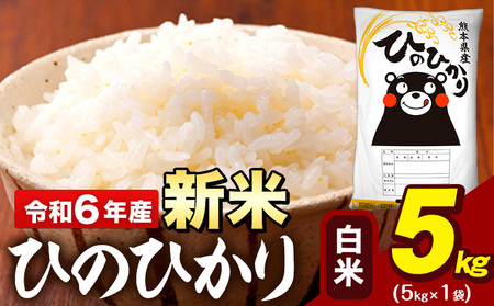 新米 令和6年産 早期先行予約受付中 白米 米 ひのひかり 5kg[11月-12月頃出荷予定]熊本県 大津町 国産 熊本県産 白米 精米 送料無料 ヒノヒカリ こめ お米