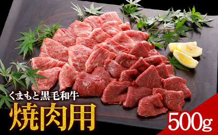 牛肉 くまもと黒毛和牛 焼肉用 500g 株式会社KAM Brewing[30日以内に出荷予定(土日祝除く)]