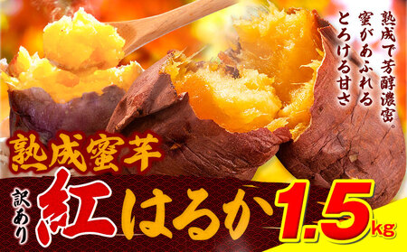 󂠂g͂邩 Tc}C 1.5kg s2026N1{-5oח\tg͂邩 ܂ F{ Ò C  ܂ 󂠂