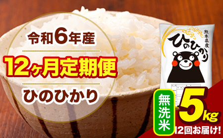 令和6年産 【12ヶ月定期便】 無洗米 米 ひのひかり 5kg《お申し込み月の翌月から出荷開始》熊本県 大津町 国産 熊本県産 無洗米 送料無料 ヒノヒカリ こめ お米