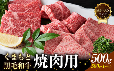 [A4〜A5]くまもと 黒毛和牛 焼肉用 500g [30日以内に出荷予定(土日祝除く)]熊本県 大津町 黒毛和牛 肉 お肉 和牛 牛 牛肉 A5 A4 小分け