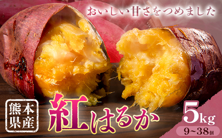 ܂ F{Y g͂邩 5kg {t[cЁs11{-6{oׁtF{ Ò ܂ F 炢 g͂邩 fU[g      