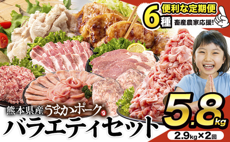 豚肉 バラエティセット[2回定期] 合計約5.8kg(2.9kg×2回)[申込み翌月から出荷)] 豚肉豚肉豚肉豚肉