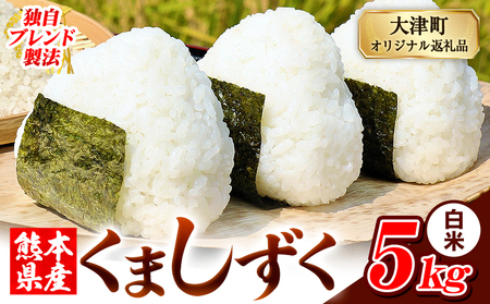 白米 熊本県産 ブレンド米 くましずく 5kg 熊本県産 ふるさと納税 白米 精米 米 こめ ふるさとのうぜい コメ お米 おこめ[9月下旬-11月上旬頃出荷]