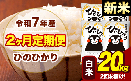 �V�� �ߘa7�N�Y ���� �y2��������ցz �Ђ̂Ђ��� 20kg�s���\���ݗ�������o�ׁt�F�{�� ��Ò� ���Y �F�{���Y �q�m�q�J�� ���� ����