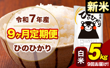 �V�� �ߘa7�N�Y ���� �y9��������ցz �Ђ̂Ђ��� 5kg�s���\���ݗ�������o�ׁt�F�{�� ��Ò� ���Y �F�{���Y �q�m�q�J�� ���� ����