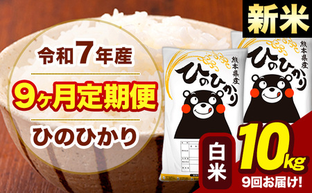 �V�� �ߘa7�N�Y ���� �y9��������ցz �Ђ̂Ђ��� 10kg�s���\���ݗ�������o�ׁt�F�{�� ��Ò� ���Y �F�{���Y �q�m�q�J�� ���� ����