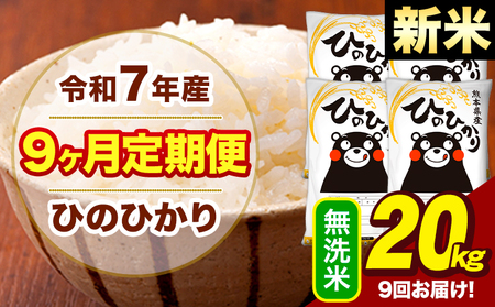 �V�� �ߘa7�N�Y ������ �y9��������ցz �Ђ̂Ђ��� 20kg�s���\���ݗ�������o�ׁt�F�{�� ��Ò� ���Y �F�{���Y �q�m�q�J�� ���� ����