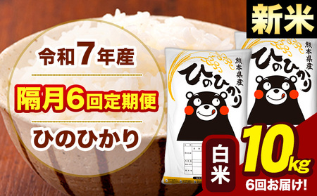 �V�� �ߘa7�N�Y ���� �y�u��6�����ցz �Ђ̂Ђ��� 10kg�s���\���ݗ�������o�ׁt�F�{�� ��Ò� ���Y �F�{���Y �q�m�q�J�� ���� ����