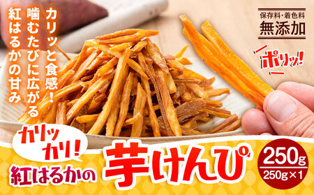 カリッカリ 紅はるかの芋けんぴ 250g 1袋250g 熊本県大津町産 無添加[30日以内に出荷予定(土日祝を除く)]薩摩芋 さつまいも サツマイモ イモケンピ 保存料・着色料 不使用 小分け