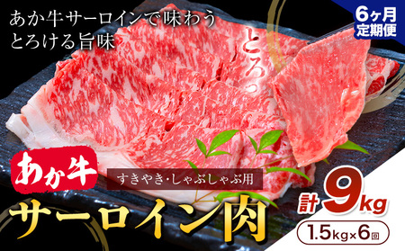 【6ヶ月定期便】あか牛 すきやき・しゃぶしゃぶ用 サーロイン肉 合計9kg 1回 500g×3パック 合同会社たべたせいか《お申し込みの翌月から出荷》赤牛 牛肉 肉 お肉 すきやき すき焼き しゃぶしゃぶ サーロイン 熊本県産 大津市 送料無料