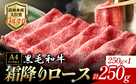厳選 くまもと黒毛和牛 すき焼き用 霜降りロース 250g《30日以内に出荷予定(土日祝除く)》 熊本県 大津町 和牛焼肉LIEBE くまもと黒毛和牛 リブロース 肩ロース すき焼き 冷蔵 リーベ