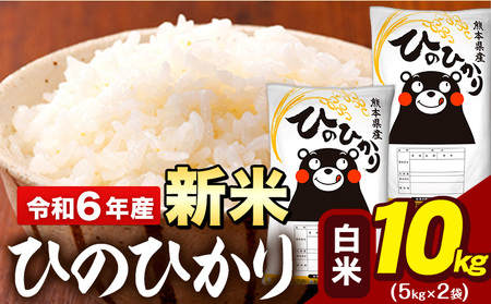 令和5年産 ひのひかり 白米 10kg 《7-14営業日以内に出荷予定(土日祝除く)》 5kg×2袋 熊本県産 米 精米 ひの 大津町