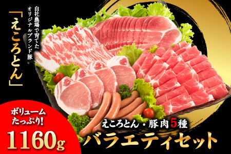 えころとん・豚肉5種(計1160g) バラエティセット[60日以内に出荷予定(土日祝除く)]熊本県産 有限会社ファームヨシダ