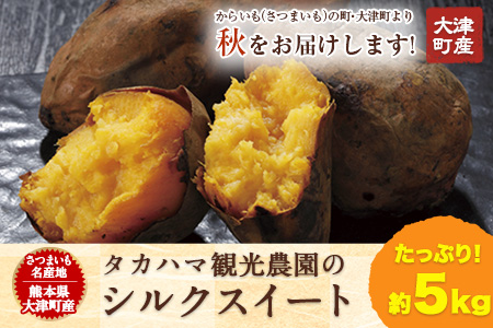 熊本県大津町産 タカハマ観光農園のシルクスイート 約5kg《12月中旬-4月末頃より順次出荷》 さつまいも 芋 秋の味覚