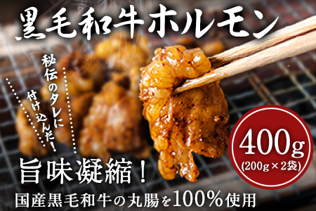 黒毛和牛ホルモン400g(200g×2袋) 有限会社トップルーフ[60日以内に出荷予定(土日祝除く)] ブランド牛 黒毛和種