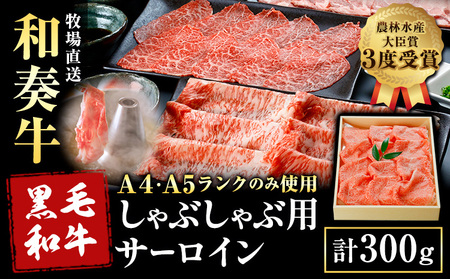 厳選 くまもと黒毛和牛 しゃぶしゃぶ用 サーロイン 300g [30日以内に出荷予定(土日祝除く)]熊本県 大津町 和牛焼肉LIEBE くまもと黒毛和牛 サーロイン ロース しゃぶしゃぶ 冷蔵 リーベ