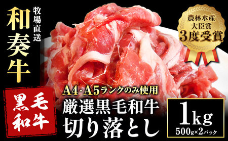 厳選 くまもと黒毛和牛 切り落とし 1kg ( 1パック 500g ) [30日以内に出荷予定(土日祝除く)]熊本県 大津町 和牛焼肉LIEBE くまもと黒毛和牛 切り落とし 冷凍 リーベ