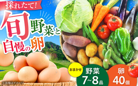 [数量限定]新鮮卵と旬の野菜セット ( 野菜7-8品程度 + 40個 ) たまご 生卵 タマゴ 詰合せ セット 野菜 野菜詰め合わせ たまご 野菜セット [有限会社さんふれあ][BHAK002]