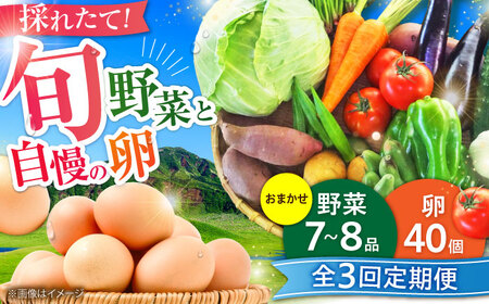 [全3回定期便][数量限定]新鮮たまごと旬の野菜セット(野菜7から8品程度+40個) / たまご 生卵 タマゴ 詰合せ セット 詰め合わせ 野菜 野菜セット 菊陽野菜 熊本県 特産品[有限会社さんふれあ][BHAK009]