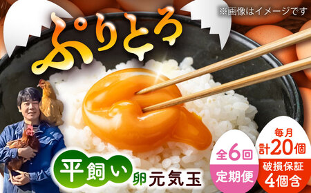 全6回定期便 平飼い 新鮮 たまご 元気玉 計20個 たまご