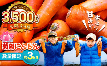 [数量限定]菊陽町の春にんじん(菊陽にんじん) 約3kg[有限会社さんふれあ][BHAK003]