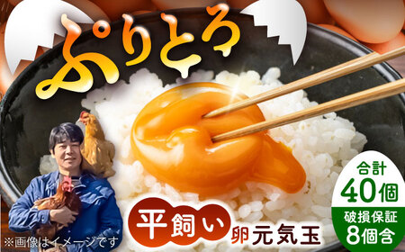  VN ܂ C v40  { BHAP002