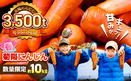 [数量限定]菊陽町の春にんじん 約10kg[有限会社さんふれあ][BHAK004]