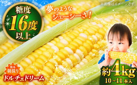 [2026年5月下旬より順次発送]スイートコーン ドルチェドリーム 約4kg とうもろこし スイートコーン[BHCJ002]