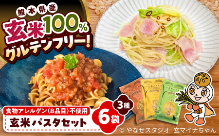玄米パスタ 3種類各2袋セット / 玄米 パスタ 特産品 熊本[株式会社熊本玄米研究所][BHAF002]