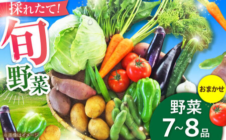 [数量限定]旬の 野菜 セット (約3kg/野菜7-8品程度) / 野菜 新鮮 旬 詰合せ セット 熊本県 菊陽町 特産品 [有限会社さんふれあ][BHAK023]