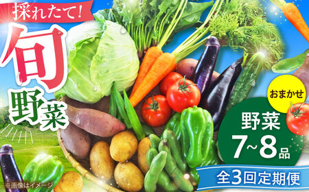 [全3回定期便][数量限定]旬の 野菜 セット (約3kg/野菜7-8品程度) / 野菜 新鮮 旬 詰合せ セット 熊本県 菊陽町 特産品 [有限会社さんふれあ][BHAK024]