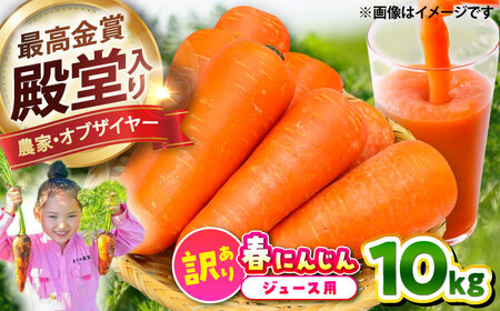春にんじん10kg(訳あり) / にんじん 規格外にんじん にんじんジュース わけありにんじん 訳ありにんじん はるにんじん[株式会社 まゆみ農園][BHCW002]