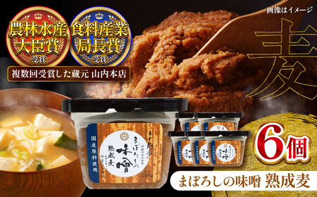 まぼろしの味噌 熟成麦 500g×6個セット[株式会社山内本店][BHAE020]