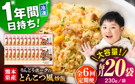 【全6回定期便】こだわり炒飯 とんこつ風炒飯 合計4.6kg 冷凍食品 炒飯 [BHCS034]