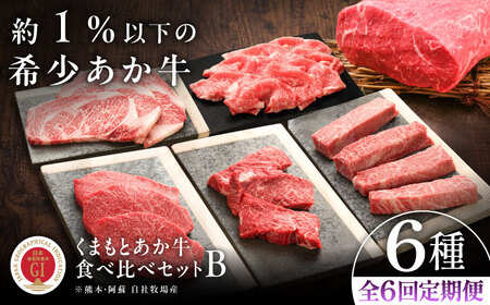 全6回定期便GI認証くまもとあか牛食べ比べB リブロース BHAS027 リブロース