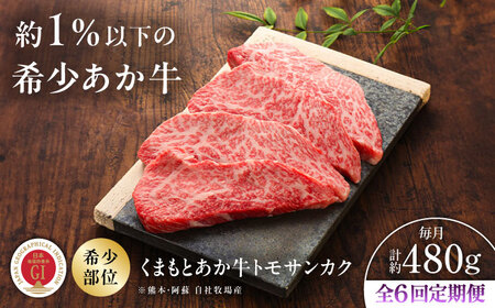 全6回定期便 GI認証 くまもとあか牛トモサンカク 約120g×4枚BHAS079 トモサンカク