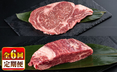 yS6ցzF{Y  Xe[Lpq(600g)A[X(800g) v1.4kg /  Y Zbg Hהׁy ׂz[BHBY030]