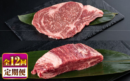 yS12ցzF{Y  Xe[Lpq(600g)A[X(800g) v1.4kg  q [X[BHBY031]