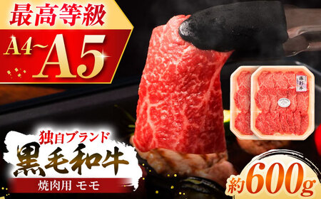 フジチク 藤彩牛 モモ 焼肉用 約600g  焼肉 BHAD120