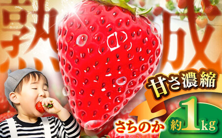 ys\zy2026N1Jnz F{Y  ̂ v1kg (250g×4pbN)  ʕ t[c Â C`S  F{ ezyL g_z[BHBM001]