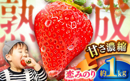ys\zy2026N1Jnz F{Y  ݂̂ v1kg (250g×4pbN) ʕ t[c Â C`S  F{ ezyL g_z[BHBM002]