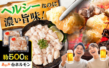 あか牛白 ホルモン 約500g ホルモン BHCY009
