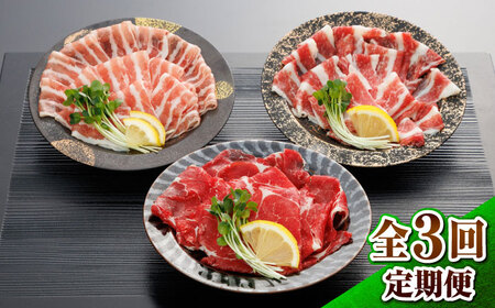 [全3回定期便]新感覚!極薄スライス「花びら馬刺し」3種盛り300g(専用醤油付き) / 馬刺し 菊陽町 熊本県 醤油 専用 ばさし 馬肉 肉 niku おつまみ[有限会社 桜屋][BHDB005]