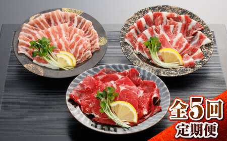 [全5回定期便]新感覚!極薄スライス「花びら馬刺し」3種盛り300g(専用醤油付き) / 馬刺し 菊陽町 熊本県 醤油 専用 ばさし 馬肉 肉 niku [有限会社 桜屋][BHDB006]