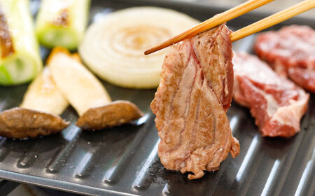 馬肉焼肉用500gカット済 馬肉[BHDB008]