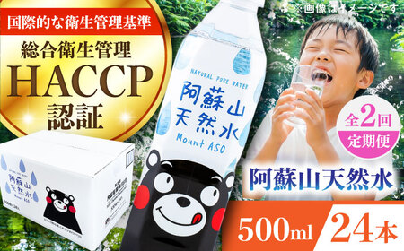 [全2回定期便]阿蘇山天然水 500ml 24本×1ケース 防災 BHDG007 防災