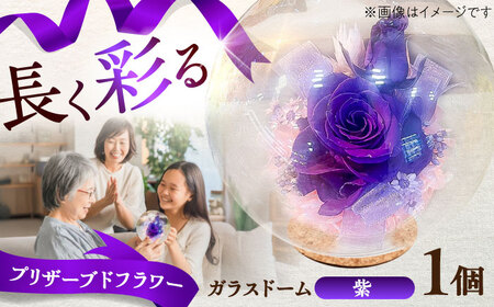 プリザーブドフラワー ガラスドーム (紫) BHDC005 プリザーブドフラワー