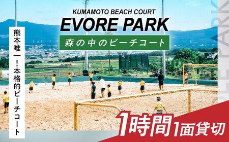 エボレパーク 1面1時間利用 利用券 ビーチスポーツ ビーチバレー ビーチサッカー スクール ダイエット 運動 レクリエーション イベント フェス 菊陽町 熊本[エボレジャパン株式会社][BHBC011]
